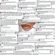De ondergang van Trump in 600 tweets