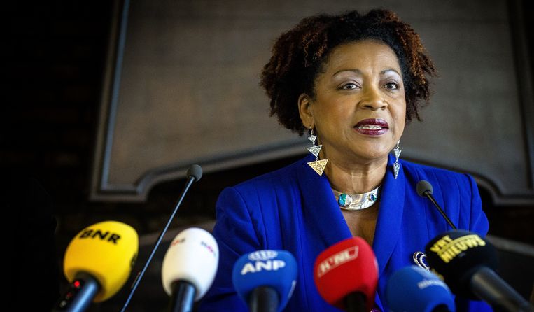 VN-functionaris Verene Shepherd: 'Discriminatie'. Dat een comité tegen rassendiscriminatie van de Verenigde Naties onderzoek in Nederland deed, heeft er zeker aan bijgedragen dat schoolbesturen en gemeenten nu richtlijnen durven op te stellen over de figuur van Zwarte Piet. Beeld anp