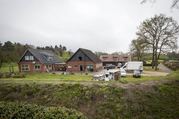 De strafzaak tegen ex-sportschoolhouder Ronald B. houdt dezelfde rechters. In zijn paardenstal in Deurningen vond de politie in mei 2017 een hennepkwekerij met zo’n 600 planten en 16 kilo wiet. Daarnaast wordt hij verdacht van faillissementsfraude met zijn sportscholen Olympic Gym.