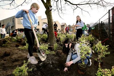 Eindelijk is ook het schoolplein van basisschool De Wildschut leuk: ‘Dit is de kers op de taart’