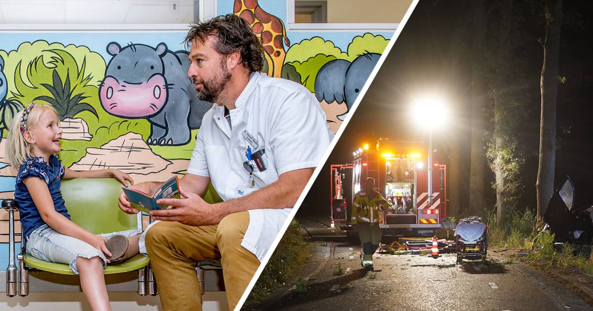 Nieuws gemist? Giftige spin rukt op • Takken op de weg leiden naar gecrashte auto