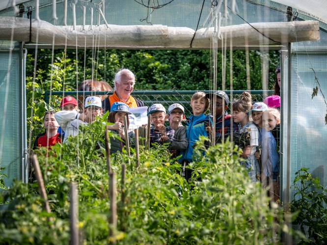 Open Tuindagen van Bio Moestuiniers komen eraan: Leerlingen basisscholen maken nu al kennis met de biomoestuin