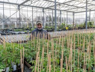 Ontdek de vernieuwde plantenkruiderij van De Loods: “Keuze uit maar liefst 300 verschillende kruiden”