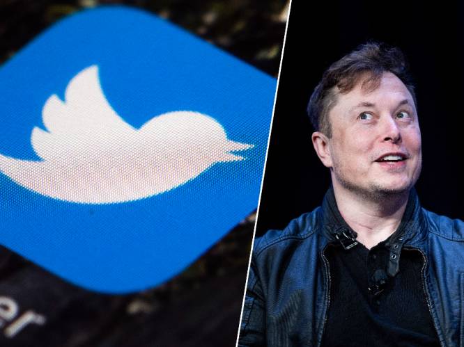 Twitter zakt op beurs na nieuws dat Elon Musk geen bestuurder wordt