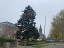 Een grote kraan ontmantelt de Millingse kerktoren maandagochtend. Het kruis wordt vanaf 47 meter hoogte naar beneden getakeld. De kraan die daarvoor verantwoordelijk is, bepaalt even de skyline van het Rijndorp.