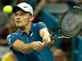 Goffin terrasse Del Potro et défiera Federer en demi