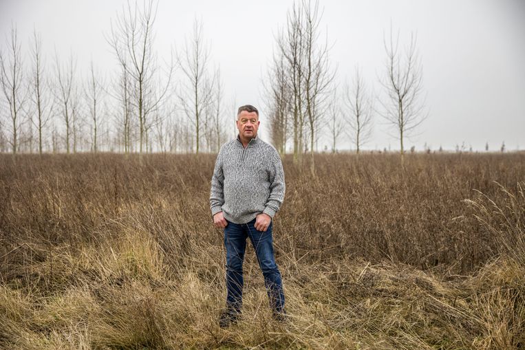 Piet Hellinga op het land in Zeewolde waar hij 25 jaar lang boerde en waar nu bomen zijn geplant door Staatsbosbeheer. Beeld Arie Kievit