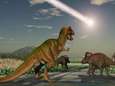 "Was meteoriet 30 seconden later ingeslagen, hadden dinosaurussen nu misschien nog geleefd"
