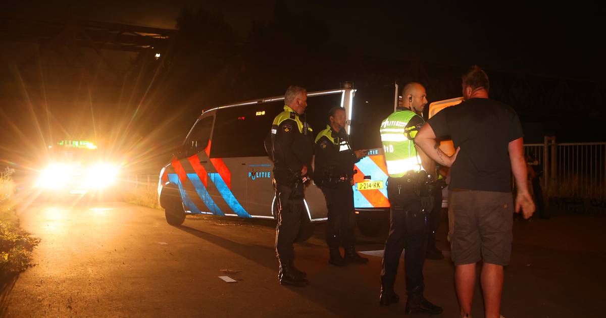 ME beëindigt groot illegaal feest onder spoorbrug langs A2 in Waardenburg - AD