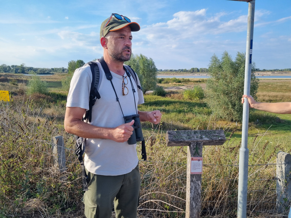 op-beversafari-in-de-millingerwaard-hun-grootste-vijand-wijzelf