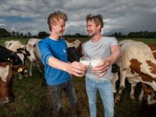 Van ‘biljartlaken’ naar kruidengras bij ALDI-boer in Wijhe: gaat de melk dan anders smaken?