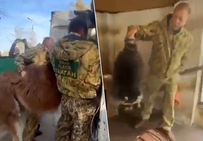 KIJK. Russen stelen dieren uit zoo tijdens terugtrekking uit Cherson