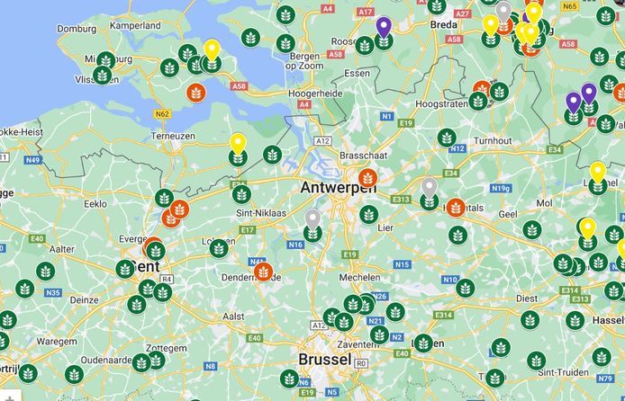 An example of the number of botanical libraries in the Antwerp area.