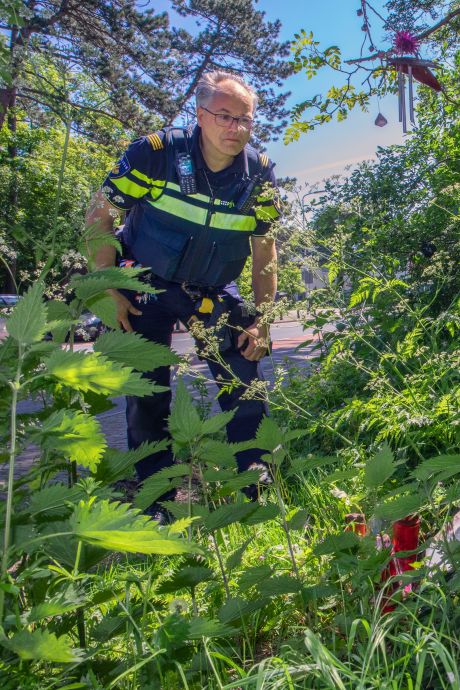 Uren na het vinden van Renées levenloze lichaam barst politieagent Richard onder de douche in tranen uit