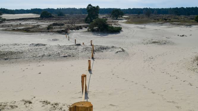 Slagbomen en touwhekken: grote delen Hulshorsterzand maandenlang dicht voor wandelaars 