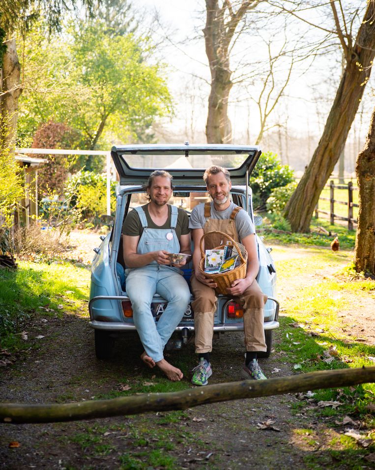 Tuinbroekies Beeld Tuinbroekies