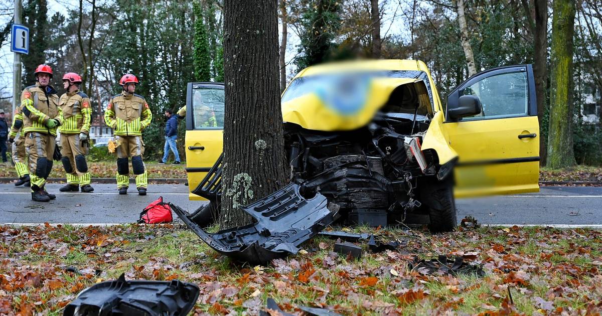Bestuurder raakt zwaargewond bij botsing tegen boom in Tilburg.