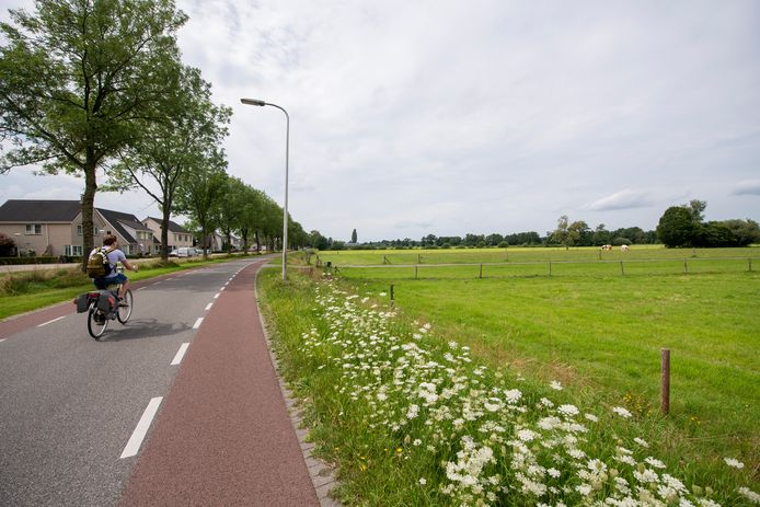 De plannen voor de bouw van ruim 100 woningen hier rechts van de Molenweg in Heino worden niet aangepast naar aanleiding van zienswijzen van belanghebbenden.