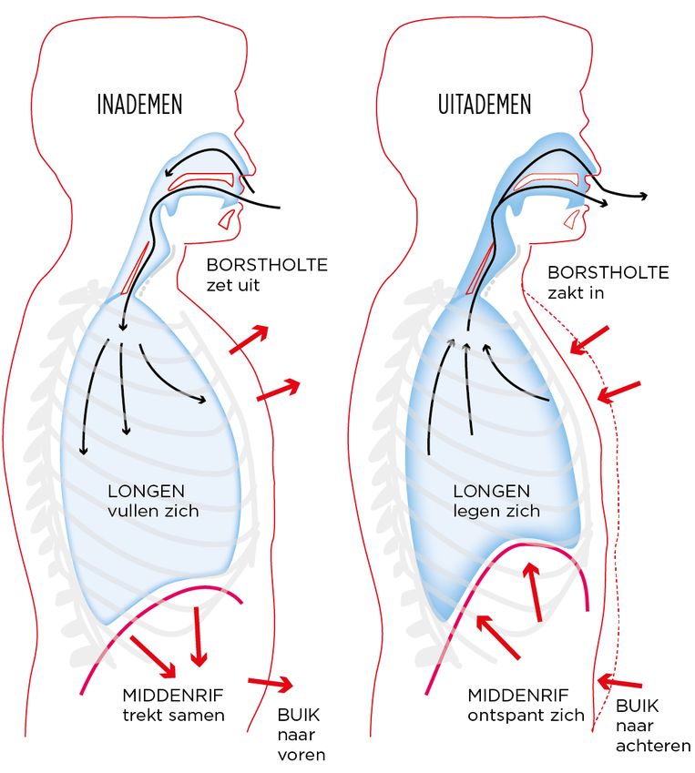 Als Je Ademhaling Het Leven Moeilijker Maakt En Hoe Het Beter Kan De Volkskrant