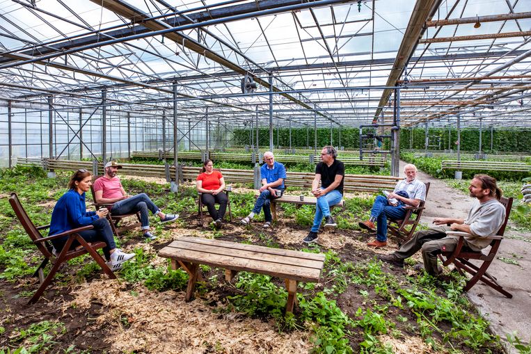 In de kas van de biologisch dynamische kweker David Luijendijk in Roelofarendsveen houden de Caring Farmers een kringgesprek. Beeld Raymond Rutting / de Volkskrant