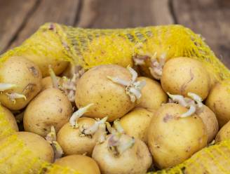 Hoe bewaar je aardappelen het best? En mag je ze nog opeten als ze kiemen?