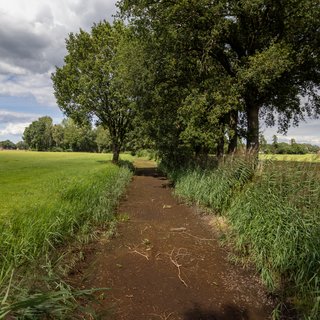 Onder die mooie groene tuin is het nog steeds veel te droog