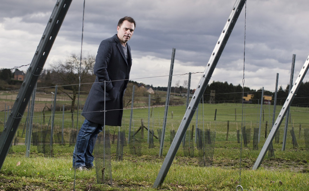 null Beeld Jonas Lampens