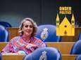 Iedereen die al wat langer in Den Haag rondloopt, kent voorbeelden van schreeuwpartijen of huilbuien
