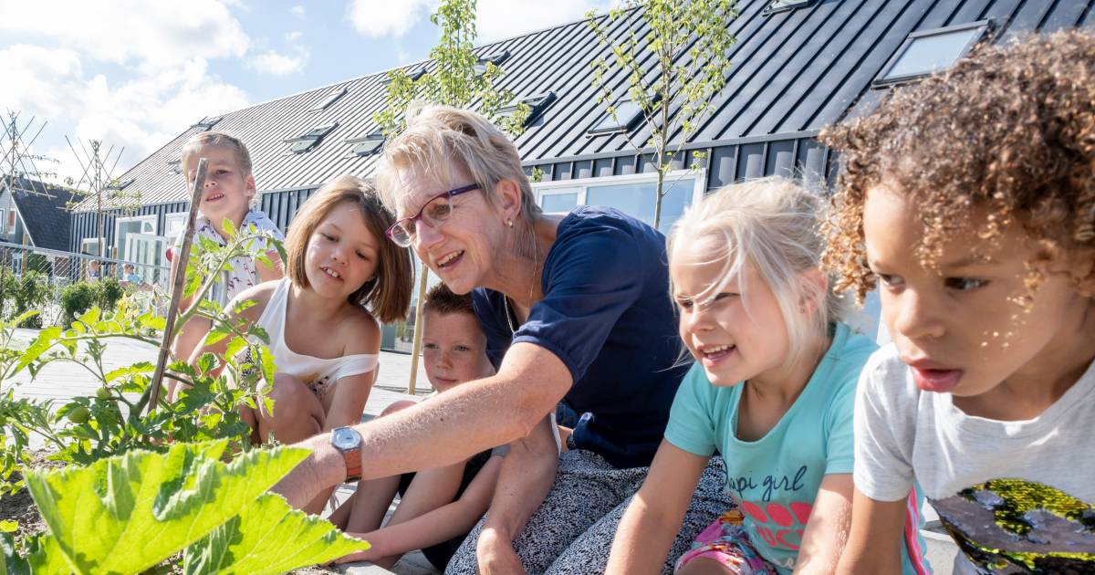 Juf Hanneke stopt in Biggekerke: ‘Geef kleuters de tijd om te ontdekken’