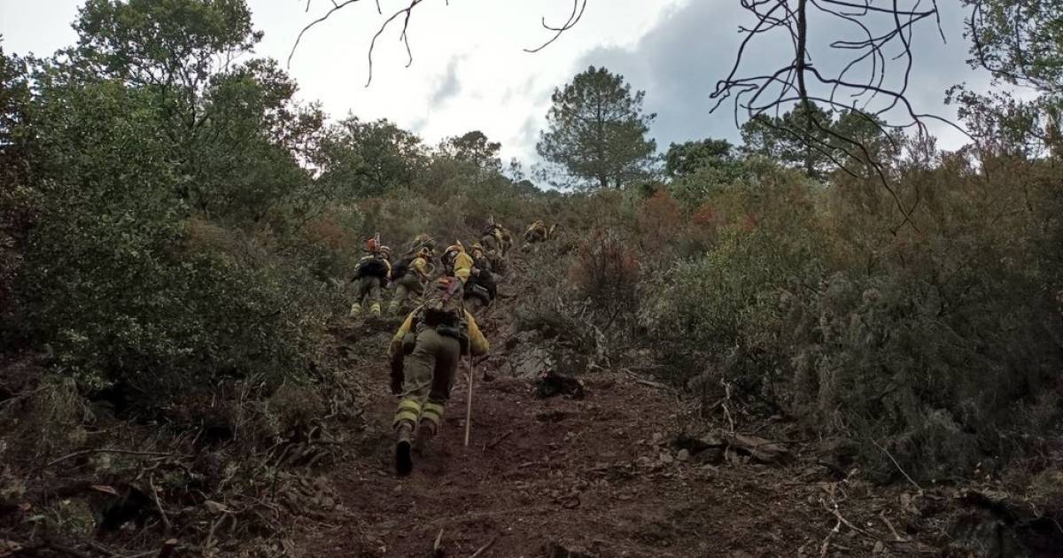 Forest fires stabilized in western Spain |  outside