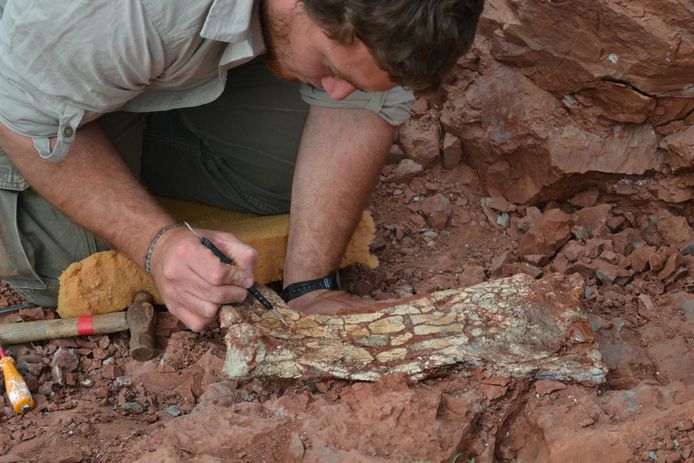 Paleontologen ontdekten de fossielen van de Thanatosdrakon amaru of ‘draak des doods’ in het Andesgebergte.