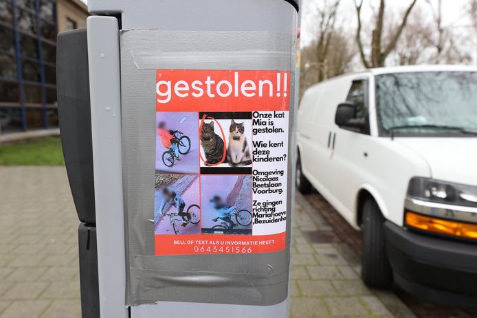 Er hangen inmiddels flyers in de buurt waarop de kinderen te zien zijn.