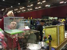 Zwolse vogelmarkt te groot: organisatie stopt ermee