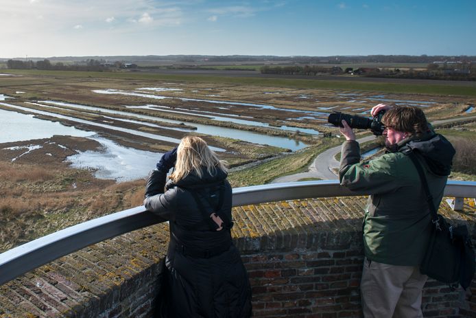De inlaag bij Burghsluis, met de Plompe Toren, ligt op de Best of Nature Fietsroute.