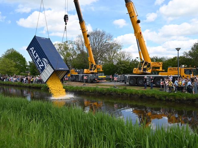 8.600 badeendjes op het water tijdens Duck Race in Oudenburg