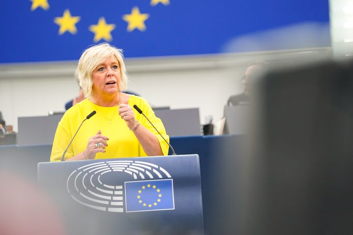 Liberaal Hilde Vautmans in het Europees Parlement.