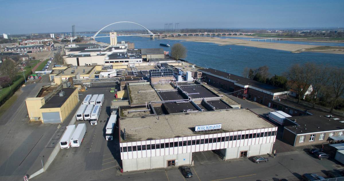 Advocaat van slachthuis Hilckmann sluisde ruim miljoen weg naar rekening eigen kantoor | Nijmegen