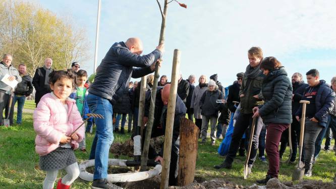 Na massale kap komen er nu tienduizenden bomen bij in Nissewaard