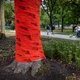 Primeur: Nederland heeft een volledig groene reclamekaravaan voor de Vuelta