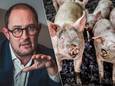 Van Quickenborne is tegen dierenwelzijn in de grondwet: “Zet de deur open voor de ideale wereld van Gaia: zonder vlees”