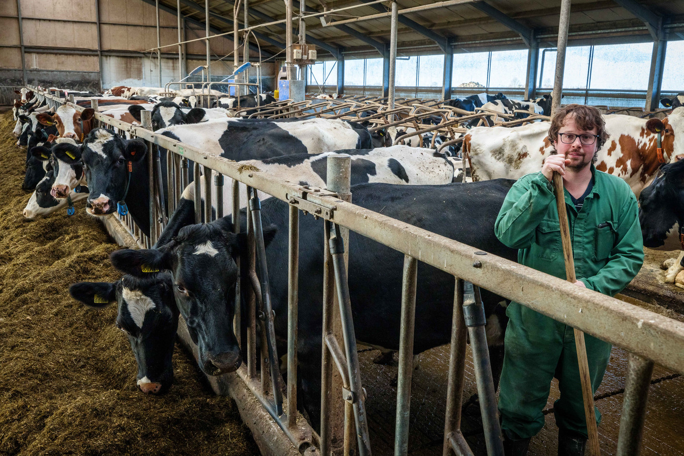 Kasper van Benthem op zijn boerderij in Blokzijl. Hij vreest samen met twaalf andere melkveebedrijven voor de toekomst van hun sector nu de provincie meer natuur wil in De Wieden.