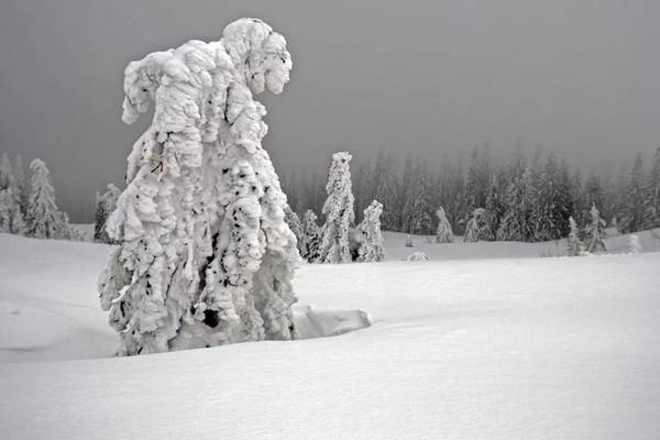 White winter - a season on the Northern Alpine rim