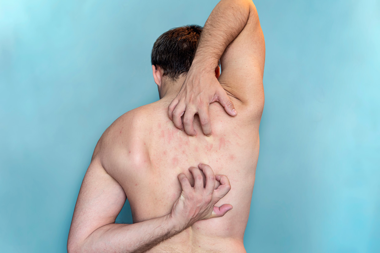 null Beeld Shutterstock / diy13