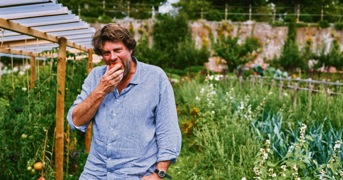 Vrijgekomen Algemeen Gewoon doen Wim Lybaert geeft vijf tips om te starten met een moestuin: "Het is  verbazingwekkend hoeveel je kan kweken op een klein lapje grond” | MijnGids  | hln.be