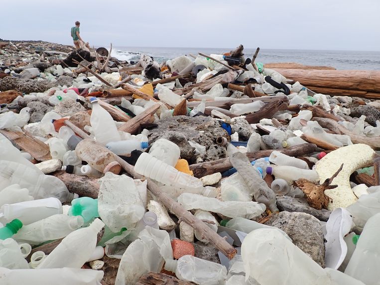 Plastic afval op de kust van Bonaire. Beeld WNF