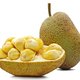 Is jackfruit gezond als vleesvervanger?