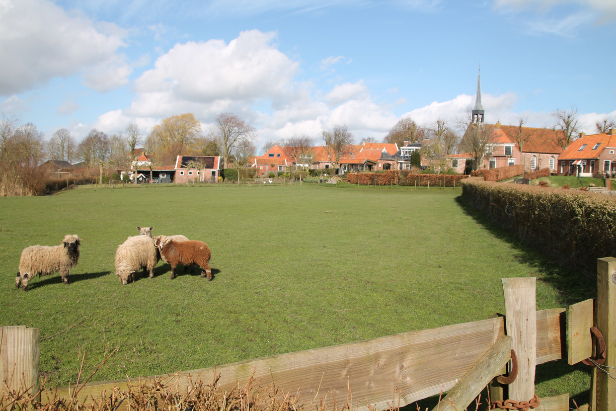 Uitzicht op Niehove. Beeld Flip van Doorn