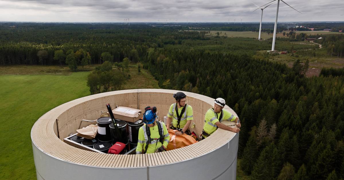 Sweden builds giant wind turbines using 'Christmas tree wood' and glue |  Technique