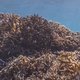 The Great Barrier Reef gaat stilaan dood (filmpje)