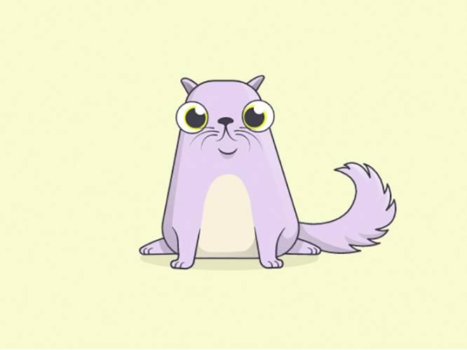 ‘CryptoKitties’ gaat al even hard als bitcoin: spelers betalen tot 100.000 dollar voor een virtueel katje